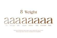 Load image into Gallery viewer, Austen