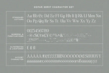 Load image into Gallery viewer, Gofar