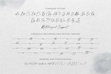 Load image into Gallery viewer, Modernline