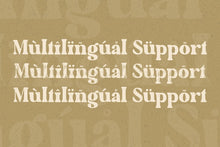 Load image into Gallery viewer, The Artisan