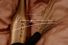 Load image into Gallery viewer, Modern Artistic Font Bundle