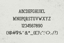 Load image into Gallery viewer, Gunberg