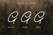 Load image into Gallery viewer, Old Bridges