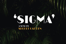 Load image into Gallery viewer, Macropolo