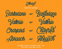 Load image into Gallery viewer, Gillnord