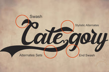 Load image into Gallery viewer, Glitter