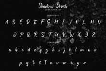 Load image into Gallery viewer, Shadow Brush