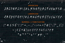 Load image into Gallery viewer, Brushlie