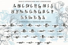 Load image into Gallery viewer, Rabitta