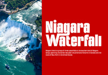 Load image into Gallery viewer, Nortune