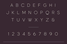 Load image into Gallery viewer, Particle