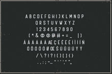 Load image into Gallery viewer, Handler