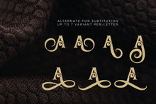 Load image into Gallery viewer, Sabrva