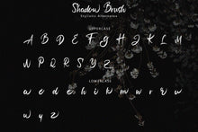 Load image into Gallery viewer, Shadow Brush