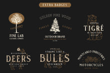 Load image into Gallery viewer, Gold Coast