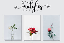 Load image into Gallery viewer, Ayalda