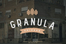 Load image into Gallery viewer, Grahm