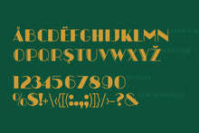 Load image into Gallery viewer, Macropolo