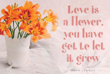 Load image into Gallery viewer, Honey Butterfly