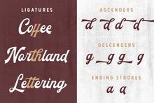 Load image into Gallery viewer, The Blendhes