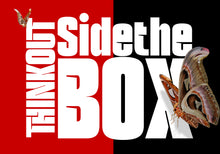 Load image into Gallery viewer, Nortune