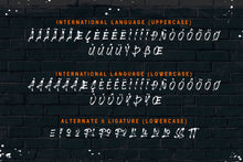 Load image into Gallery viewer, Brushlie