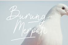 Load image into Gallery viewer, Oxlade