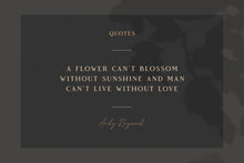 Load image into Gallery viewer, Vendeur