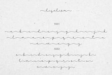 Load image into Gallery viewer, Lifelism