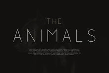 Load image into Gallery viewer, Rolves