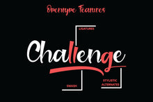 Load image into Gallery viewer, Revenge