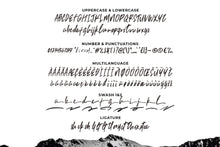 Load image into Gallery viewer, Trackers