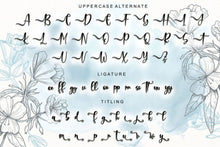 Load image into Gallery viewer, Rabitta