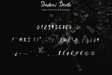 Load image into Gallery viewer, Shadow Brush