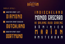 Load image into Gallery viewer, Houston Sports