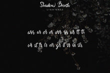 Load image into Gallery viewer, Shadow Brush