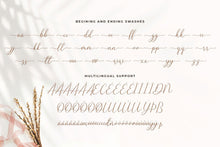 Load image into Gallery viewer, Sharland