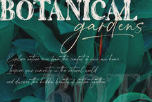 Load image into Gallery viewer, The Artisan