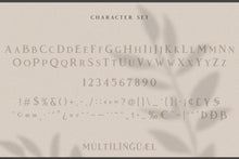 Load image into Gallery viewer, Vendeur