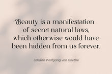 Load image into Gallery viewer, Cotta