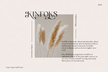 Load image into Gallery viewer, Cotta