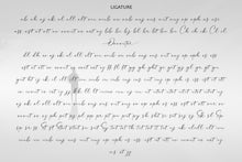 Load image into Gallery viewer, Daventer