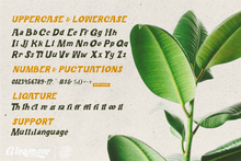 Load image into Gallery viewer, Gleamore