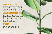 Load image into Gallery viewer, Gleamore