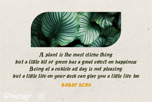 Load image into Gallery viewer, Gleamore