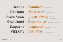 Load image into Gallery viewer, Sinerva