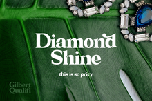 Load image into Gallery viewer, Gilbert Qualifi