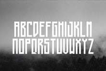 Load image into Gallery viewer, Long Johnson