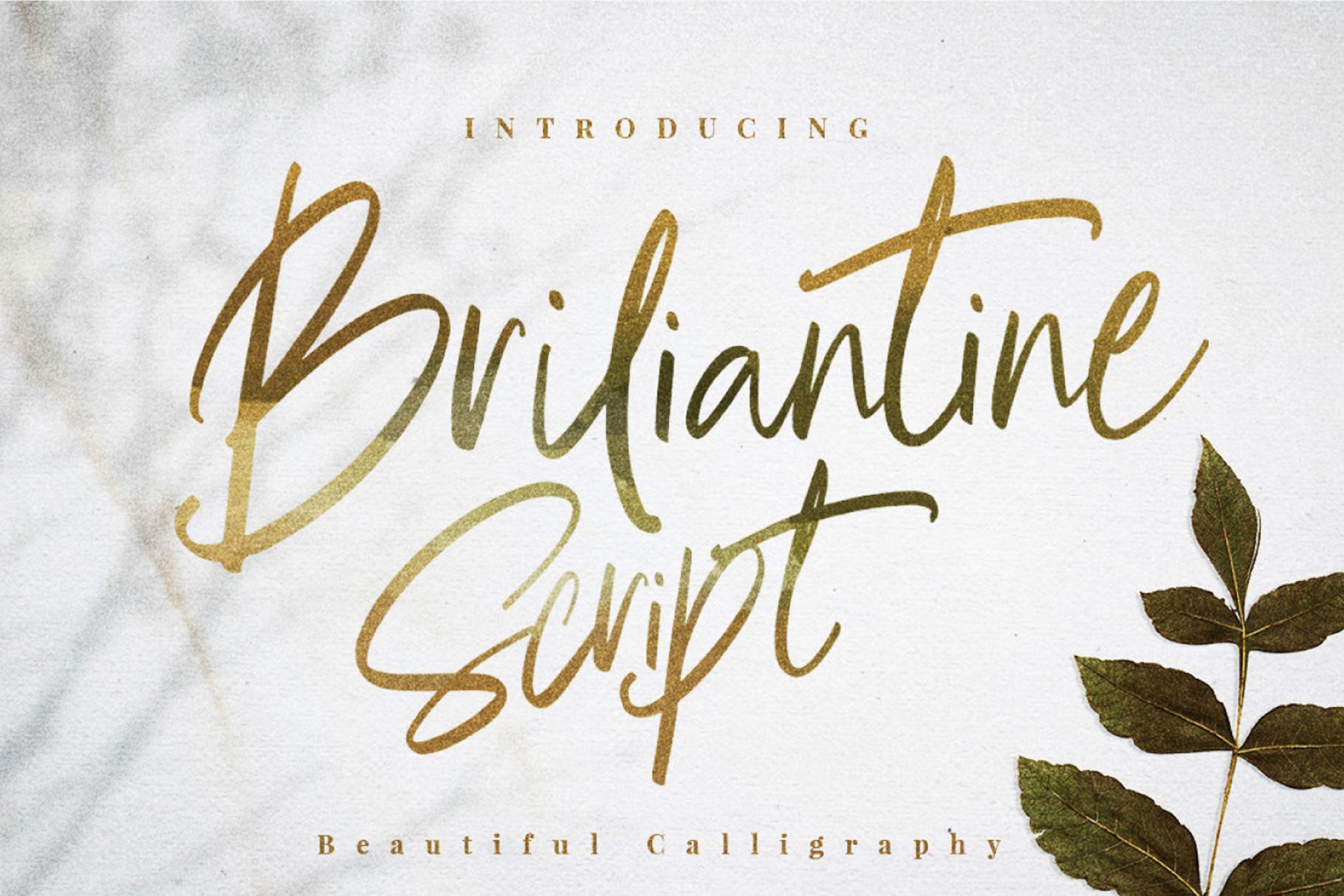 Briliantine – GraphicDesignFreebies