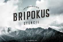 Load image into Gallery viewer, Bripokus

